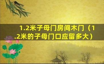 1.2米子母门房间木门（1.2米的子母门口应留多大）