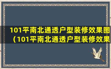 101平南北通透户型装修效果图（101平南北通透户型装修效果图大全）