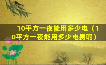 10平方一夜能用多少电（10平方一夜能用多少电费呢）