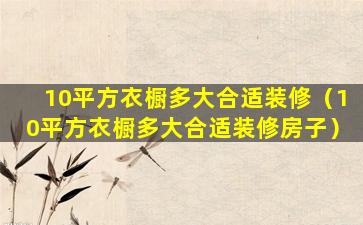 10平方衣橱多大合适装修（10平方衣橱多大合适装修房子）