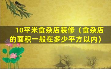 10平米食杂店装修（食杂店的面积一般在多少平方以内）