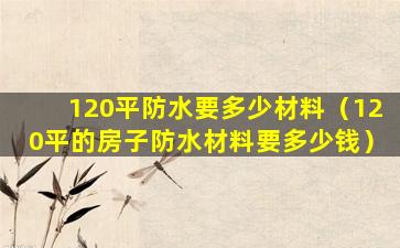 120平防水要多少材料（120平的房子防水材料要多少钱）