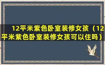 12平米紫色卧室装修女孩（12平米紫色卧室装修女孩可以住吗）