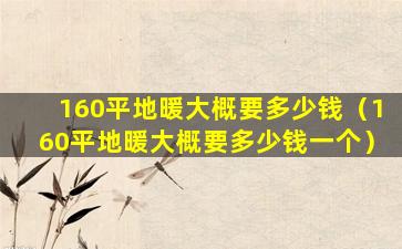 160平地暖大概要多少钱（160平地暖大概要多少钱一个）