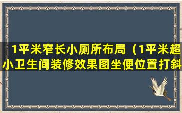 1平米窄长小厕所布局（1平米超小卫生间装修效果图坐便位置打斜）