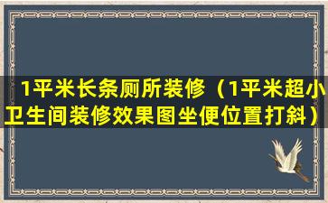 1平米长条厕所装修（1平米超小卫生间装修效果图坐便位置打斜）