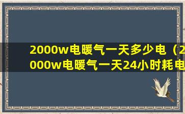 2000w电暖气一天多少电（2000w电暖气一天24小时耗电多少）