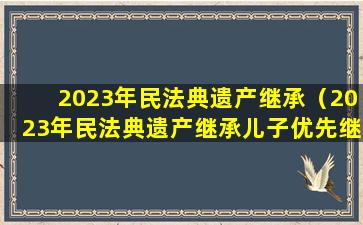 2023年民法典遗产继承（2023年民法典遗产继承儿子优先继承吗）