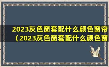 2023灰色窗套配什么颜色窗帘（2023灰色窗套配什么颜色窗帘好看）