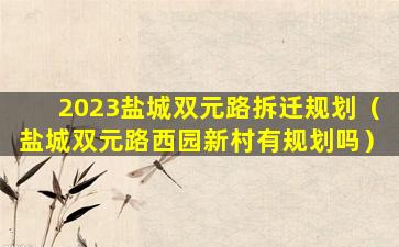 2023盐城双元路拆迁规划（盐城双元路西园新村有规划吗）