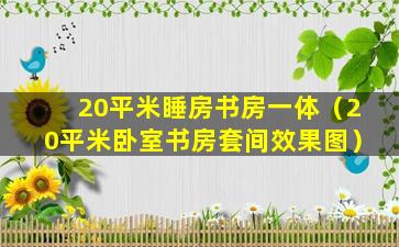 20平米睡房书房一体（20平米卧室书房套间效果图）