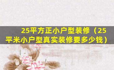 25平方正小户型装修（25平米小户型真实装修要多少钱）