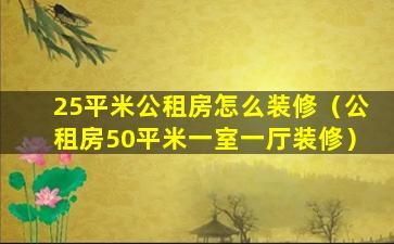 25平米公租房怎么装修（公租房50平米一室一厅装修）