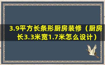 3.9平方长条形厨房装修（厨房长3.3米宽1.7米怎么设计）