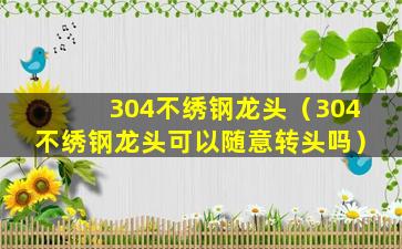 304不绣钢龙头（304不绣钢龙头可以随意转头吗）