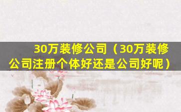 30万装修公司（30万装修公司注册个体好还是公司好呢）