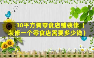 30平方狗零食店铺装修（装修一个零食店需要多少钱）