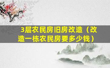 3层农民房旧房改造（改造一栋农民房要多少钱）