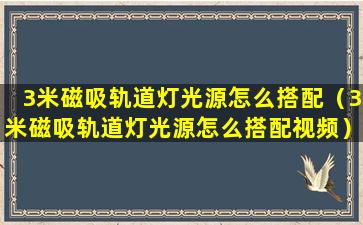 3米磁吸轨道灯光源怎么搭配（3米磁吸轨道灯光源怎么搭配视频）