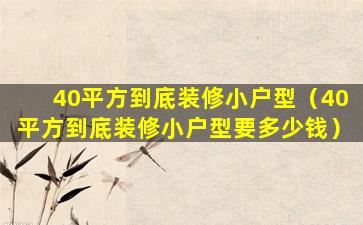 40平方到底装修小户型（40平方到底装修小户型要多少钱）