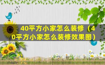 40平方小家怎么装修（40平方小家怎么装修效果图）