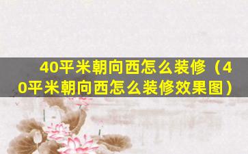 40平米朝向西怎么装修（40平米朝向西怎么装修效果图）