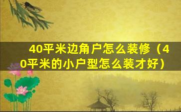 40平米边角户怎么装修（40平米的小户型怎么装才好）