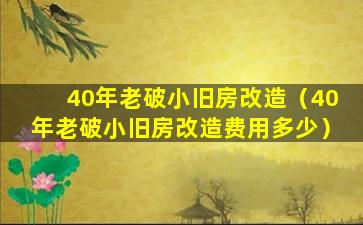 40年老破小旧房改造（40年老破小旧房改造费用多少）