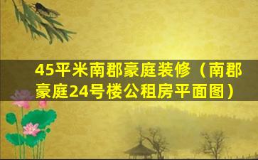 45平米南郡豪庭装修（南郡豪庭24号楼公租房平面图）