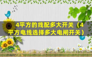 4平方的线配多大开关（4平方电线选择多大电闸开关）