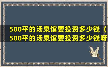 500平的汤泉馆要投资多少钱（500平的汤泉馆要投资多少钱呀）