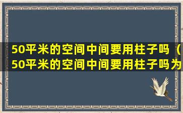 50平米的空间中间要用柱子吗（50平米的空间中间要用柱子吗为什么）