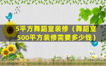 5平方舞蹈室装修（舞蹈室500平方装修需要多少钱）