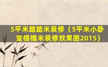 5平米踏踏米装修（5平米小卧室榻榻米装修效果图2015）