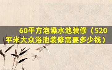 60平方泡澡水池装修（520平米大众浴池装修需要多少钱）