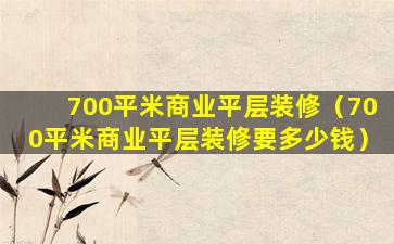 700平米商业平层装修（700平米商业平层装修要多少钱）