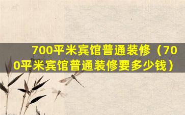 700平米宾馆普通装修（700平米宾馆普通装修要多少钱）