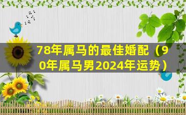 78年属马的最佳婚配（90年属马男2024年运势）