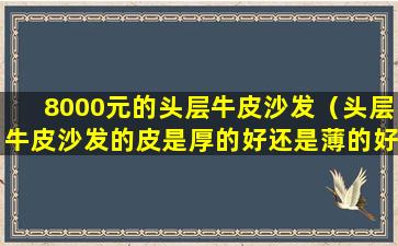 8000元的头层牛皮沙发（头层牛皮沙发的皮是厚的好还是薄的好）