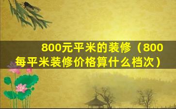 800元平米的装修（800每平米装修价格算什么档次）