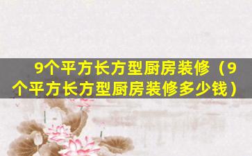 9个平方长方型厨房装修（9个平方长方型厨房装修多少钱）