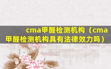 cma甲醛检测机构（cma甲醛检测机构具有法律效力吗）