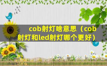 cob射灯啥意思（cob射灯和led射灯哪个更好）