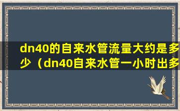 dn40的自来水管流量大约是多少（dn40自来水管一小时出多少吨水）