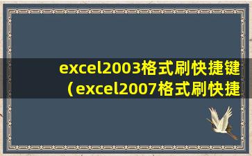 excel2003格式刷快捷键（excel2007格式刷快捷键）