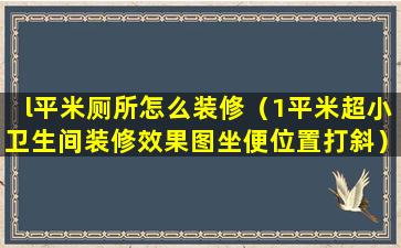 l平米厕所怎么装修（1平米超小卫生间装修效果图坐便位置打斜）