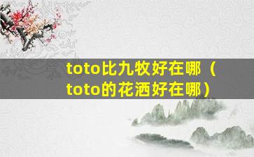 toto比九牧好在哪（toto的花洒好在哪）