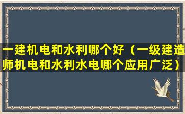 一建机电和水利哪个好（一级建造师机电和水利水电哪个应用广泛）