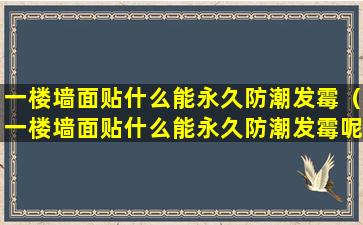 一楼墙面贴什么能永久防潮发霉（一楼墙面贴什么能永久防潮发霉呢）