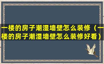 一楼的房子潮湿墙壁怎么装修（一楼的房子潮湿墙壁怎么装修好看）